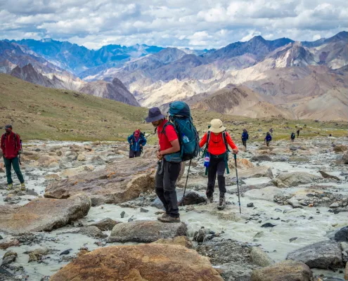 Markha Valley Trek in Ladakh