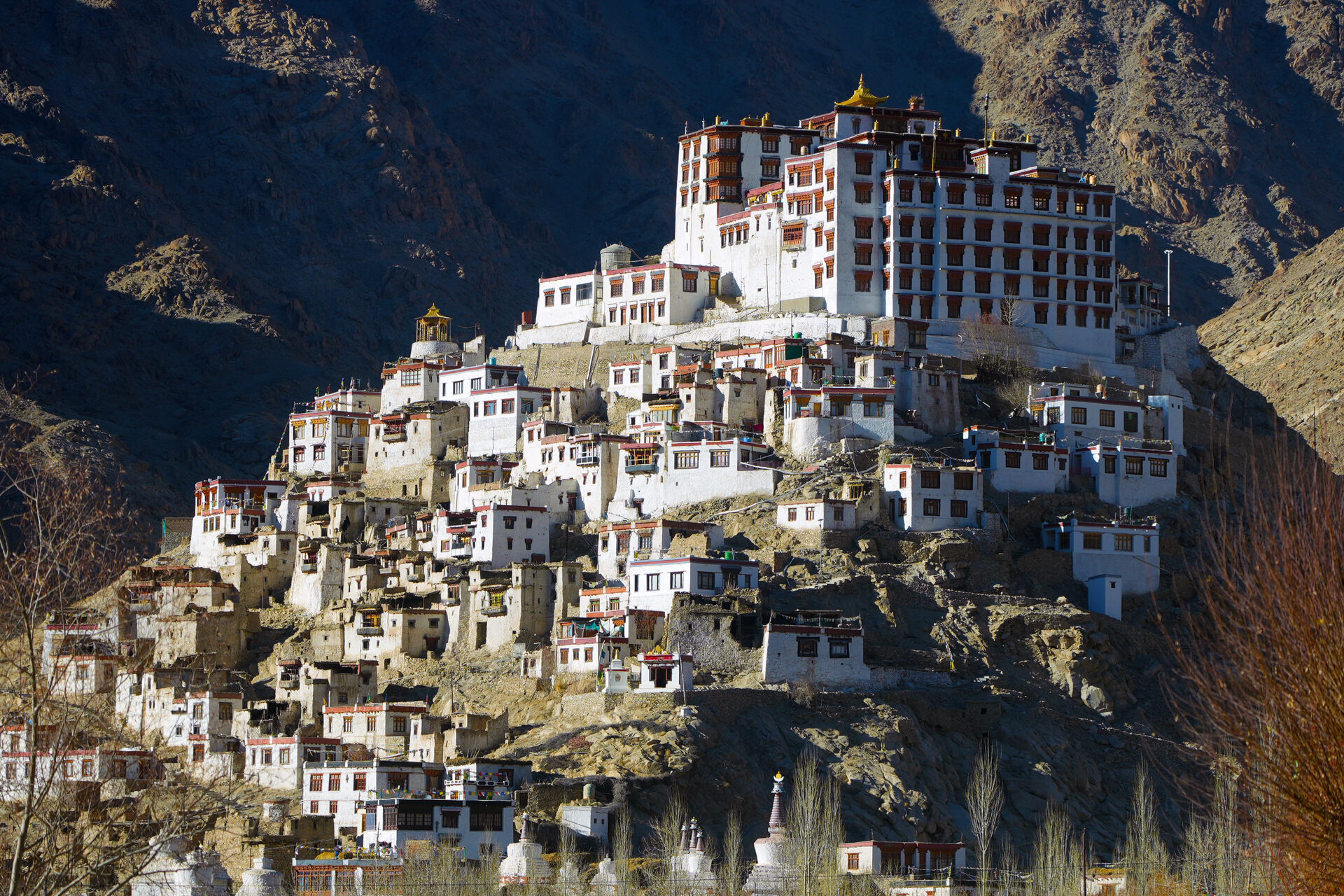 Sham Valley Trek in Ladakh